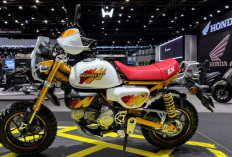Honda Monkey EX Custom Edition Meluncur, Tampil Garang dengan Gaya Enduro ala BAJA