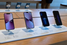 Daftar Harga iPhone Resmi iBox Akhir Juni 2026, iPhone 17 Pro Turun Harga, Pro Max Justru Naik