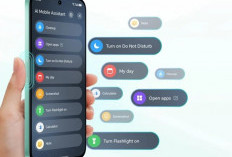 Layar 120Hz di Kelas Entry Level, HONOR X6c Tawarkan Visual Super Mulus