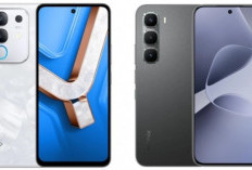 Harga Terjangkau, Fitur Nendang: HP 256 GB Rp1 Jutaan Layak Dibeli?