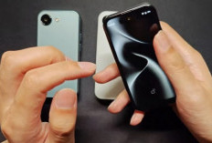 Blue Fox X1 Gebrak Pasar HP Mini 2026, Kecil tapi Bertenaga Besar dengan Android 15