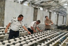 Lapas Empat Lawang Kembangkan Melon Belanda dan Hidroponik, Wujud Nyata Dukung Ketahanan Pangan Nasional