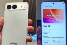 Bocoran Vivo S2 Makin Lengkap, Kamera 50MP dan Sertifikasi IP69 Siap Tantang OnePlus Nord 6