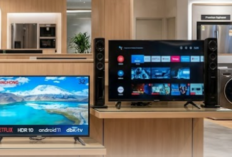 Rekomendasi TV 43 Inci Terbaik 2026, Cocok untuk Ruang Keluarga Modern