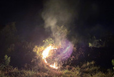 BPBD Empat Lawang Gerak Cepat Padamkan Api Karhutla di Pasar Pulau Mas, Tebing Tinggi