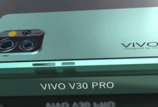Cek Harga HP Vivo Terbaru 2026: Dari Flagship hingga Entry-Level, Ini Daftar Pilihan dan Perkiraan Harganya