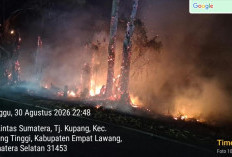 Kebakaran Lahan di Perbatasan Empat Lawang-Lahat, Tim Gabungan Bergerak Cepat Jinakkan Api