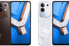 HP Memori 256 GB Harga Rp1 Jutaan Makin Diburu, Solusi Penyimpanan Lega Tanpa Lag