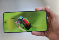 Tak Cuma Selfie, Samsung Galaxy S27 Pro dan Ultra Disebut Bawa Kamera Zoom Generasi Baru