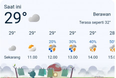 Prakiraan Cuaca Empat Lawang: Hujan, Petir, dan Kabut Warnai Sepekan ke Depan