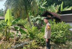 Bhabinkamtibmas Polsek Pendopo Cek Pekarangan Bergizi, Dorong Ketahanan Pangan Warga Desa Tanjung Baru