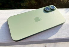iPhone 17 Tembus Skor 157 di DxOMark, Kamera Setara Galaxy S26 Ultra