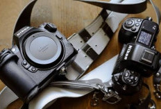 Nikon Z8 Tawarkan Performa Tinggi dalam Desain Ringkas, Favorit Profesional