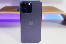 iPhone 14 Pro Max Punya Penerimaan Sinyal Stabil, Cocok Dibawa Saat Mudik