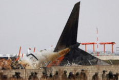 Pesawat Bawa 181 Orang Meledak, Investigasi Independen Diluncurkan