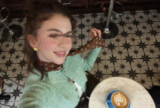 4K HDR Ultra-Steady Video, Reno15 Series Jadi Senjata Baru Para Vlogger