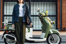 Yamaha Fazzio Jadi Favorit Lady Biker Gen Z, Modifikasi Bergaya Retro hingga Cargo Bikin Kagum