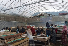 Dari Limbah Jadi Berkah! Kisah Inspiratif Perempuan Bandung Barat Bangun Usaha lewat Sinergi Ultra Mikro BRI