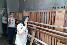 Lapas Empat Lawang Panen Telur Ayam, Dorong Ketahanan Pangan dan Kemandirian Warga Binaan