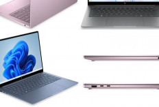 HP OmniBook 5 Bawa OLED 14 Inci dan Baterai 42 Jam, Harga Mulai Rp11 Jutaan
