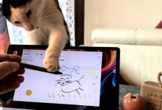 8 Tablet 5G Paling Laris Saat Promo Lebaran 2026, Internet Super Cepat Tanpa WiFi Jadi Andalan