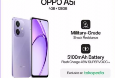 Tak Perlu Mahal! Ini Rahasia HP Murah 2026 Bisa Tahan Gores