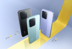 Daftar Harga HP Terbaru Februari 2026: Mulai Rp1 Jutaan hingga Flagship Rp20 Jutaan