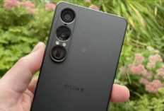 Sony Xperia 1 VII Resmi Meluncur, Flagship Elegan dengan Layar LTPO OLED Super Cerah