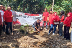 Peringati Bulan Bung Karno, PDIP Empat Lawang Bagikan Ratusan Sembako dan Tanam Pohon Buah untuk Warga