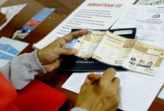 Juni 2026 Jadi Kesempatan Emas! Tujuh Provinsi Berlakukan Pemutihan Pajak Kendaraan, Tunggakan Denda Dihapus
