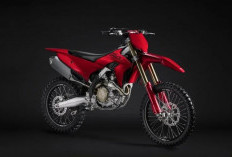 Ducati Diam-Diam Rilis Motor Trail 250 cc Baru, Desmo250 MX Usung Teknologi Mesin Turunan Panigale V4 R