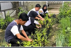 Lapas Empat Lawang Tingkatkan Pembinaan Kemandirian Lewat Pembersihan dan Persiapan Media Tanam Hidroponik