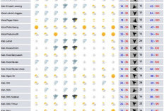 Palembang Diselimuti Asap, PM2.5 Tembus 128,88 µgram/m³; Empat Lawang Masih Aman