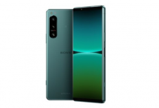 7 HP Kamera ZEISS Terbaik 2026, Hasil Foto Disebut Setajam DSLR