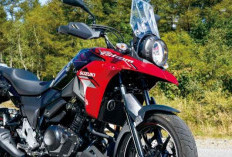 Suzuki V-Strom 250 2026 Resmi Meluncur, Pakai Mesin 2-Silinder dan Siap Tantang Kawasaki Versys-X 250