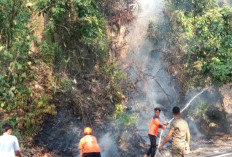 Sigap BPBD Terjunkan Enam Personel Padamkan Api Berkobar Di terowongan Tebing Alay 