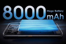 Tecno Pova Curve 2 Debut Global, Baterai 8000 mAh dan Layar AMOLED Super Terang
