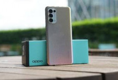 Jangan Salah Pilih! Ini Tips Memilih HP OPPO 5G RAM 8/256 GB Sesuai Kebutuhan