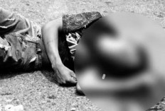 Kecelakaan Maut Terjadi di Kelurahan Tanjung Kupang, Pengendara Vario Meninggal Dunia Usai Tabrak Suzuki Carry