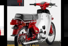Honda C800 Bangkit dari Masa Lalu, Restorasi Total Super Cub Legendaris Ini Bikin Pecinta Motor Klasik
