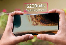  5 HP AMOLED Terbaik 2026 yang Layak Dibeli, Redmi Note 15 5G Poco X8 Pro hingga Oppo Reno 15F 5G Jadi Andalan