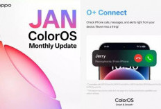 Update ColorOS 16 Februari 2026 Resmi Digulirkan, Fitur AI Edit Foto & Terjemahan PowerPoint 