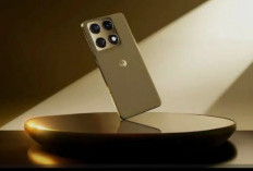 Motorola Signature Resmi Meluncur di India, Flagship Snapdragon 8 Gen 5 dengan Layar 165Hz & Update 7 Tahun