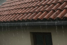 Prakiraan Cuaca Sumatera Selatan Hari Ini, Senin 15 Desember 2025, Didominasi Hujan Ringan dan Berawan