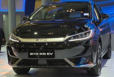 BYD Khawatir Pajak Mobil Listrik Hambat Pertumbuhan EV di Indonesia, Minta Pemerintah Kaji Ulang