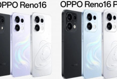 Beda Jauh dengan Versi China, OPPO Reno16 Global Diprediksi Hadir dengan Spesifikasi Lebih Ringan   