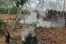 Kebakaran 4 Hektare Lahan di Tanjung Ning Empat Lawang, BPBD dan Damkar Berjuang 4 Jam Padamkan Api