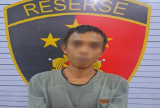 Tak Ada Ampun! DPO Kekerasan dan Pemerkosaan Ditangkap di Gunung Besurai Jambi, Polisi Buru Pelaku Lain