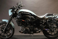 Kawasaki Eliminator Makin Stylish, GOODSEAT Cobra Hadir dengan Jok Custom Rp4,5 Juta