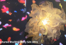 Kamera Galaxy S26 Ultra Makin Canggih, Nightography Jadi Andalan Saat Perayaan 